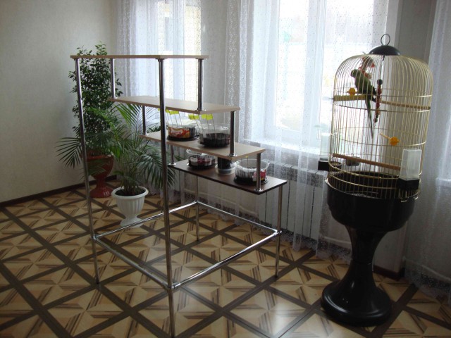 Стеллаж для рассады.