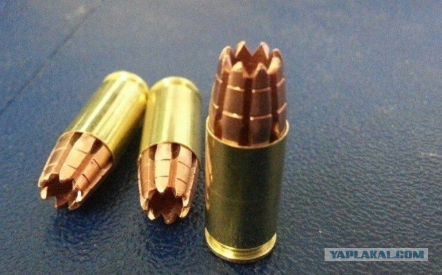 Питбуль напал на полицейских и получил пулю