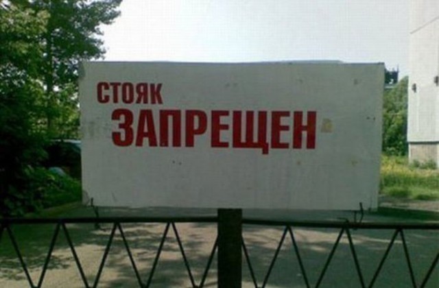 Подборка безудержного веселья