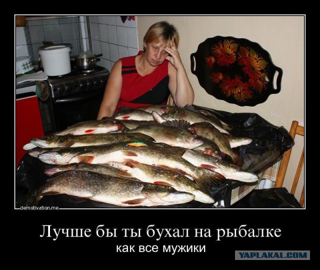 Муж пришёл с рыбалки