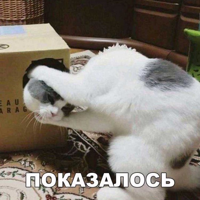Картинки из этих, ваших, интернетов
