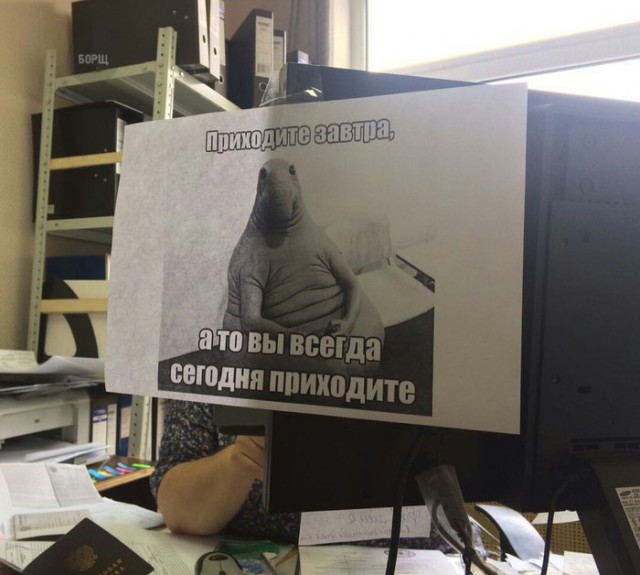 Подборка интересных и веселых картинок