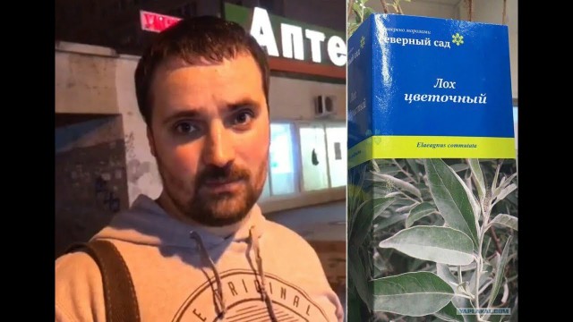Яжемать рвётся в кабинет