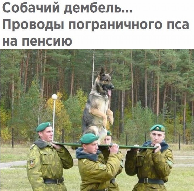 Подборка картинок для настроения