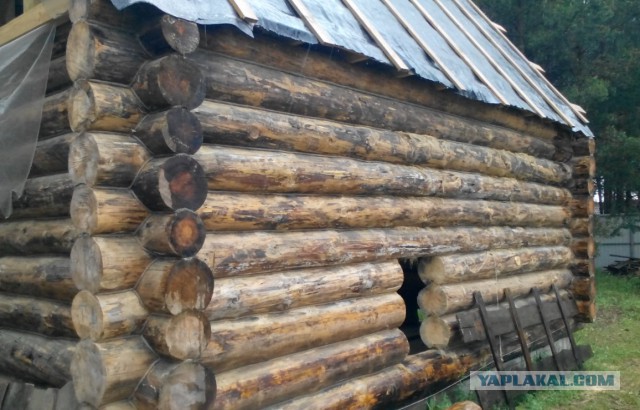 Дачно-банная эпопея