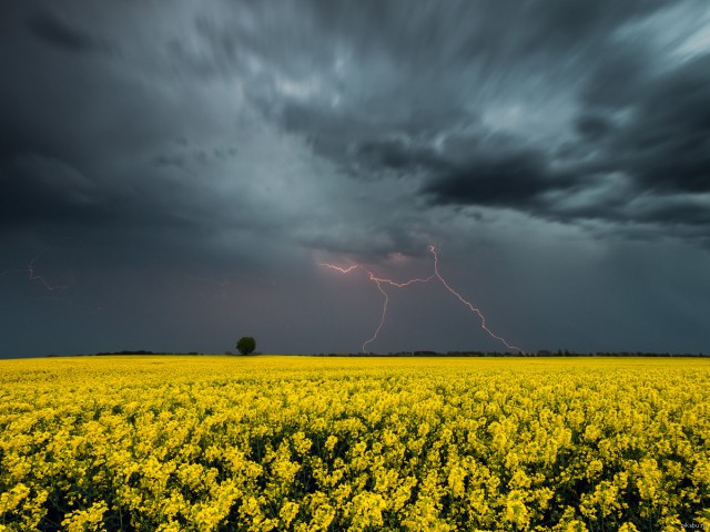 Фотографии перед грозой!