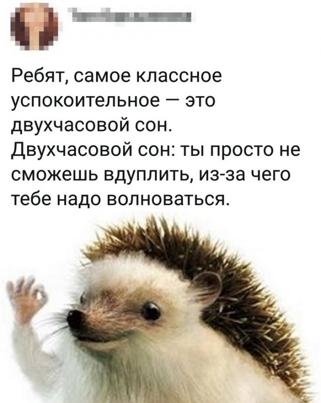 Картинки с надписями, истории и анекдоты