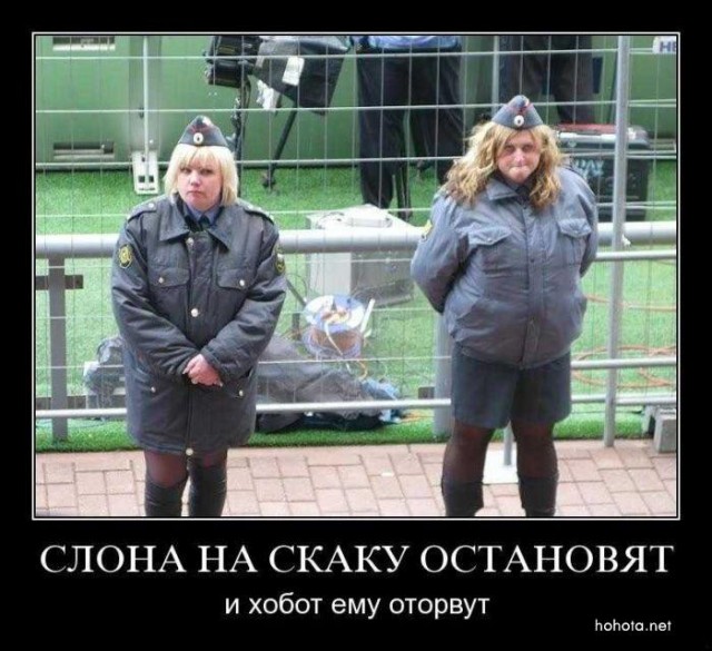 Цепной пёс кровавого режима