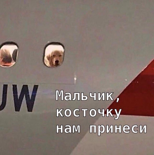 Мы домой летим