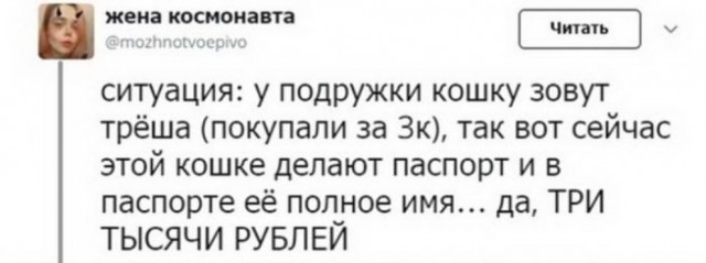 Бредзона из картинок
