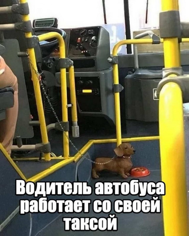 Картинки ниАчем