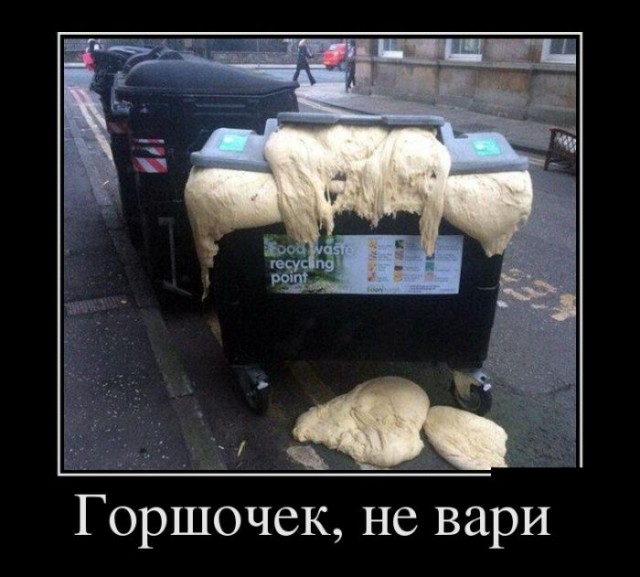 Прикольные картинки и фото с надписями и коментами