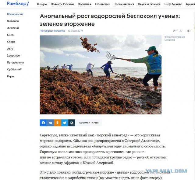 Побег на Гаити