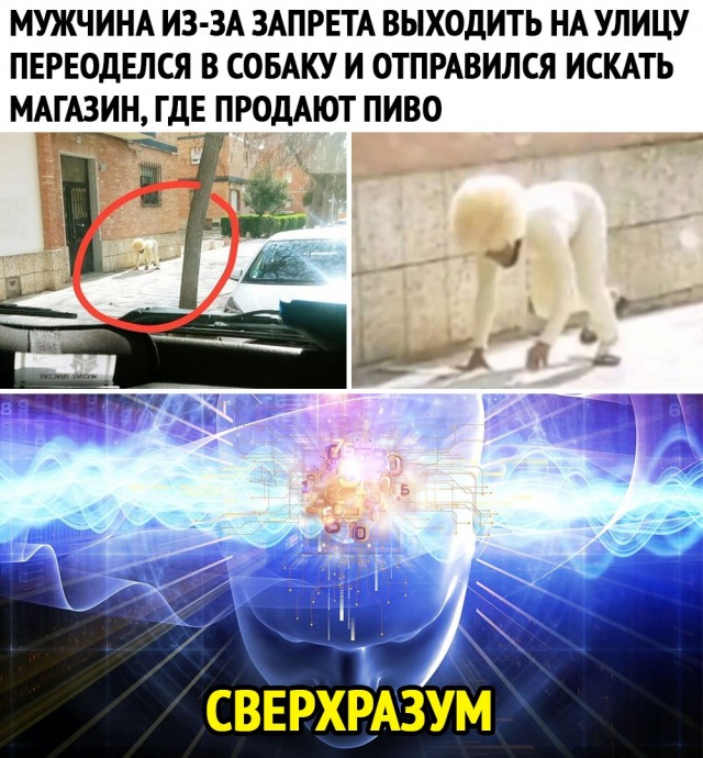 Чуток картинок. Ночные 7