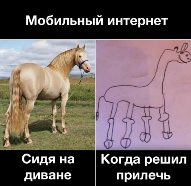 Немного картинок для настроения 04.07.20
