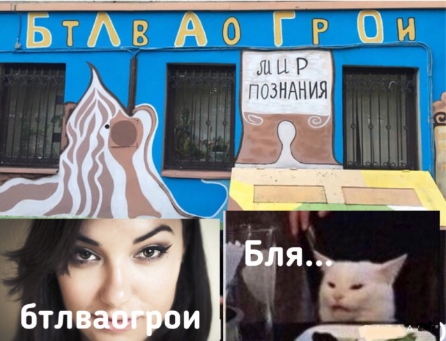 Прошёл целый год! А они всё орут на бедного котика
