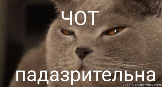 Идеальная жена