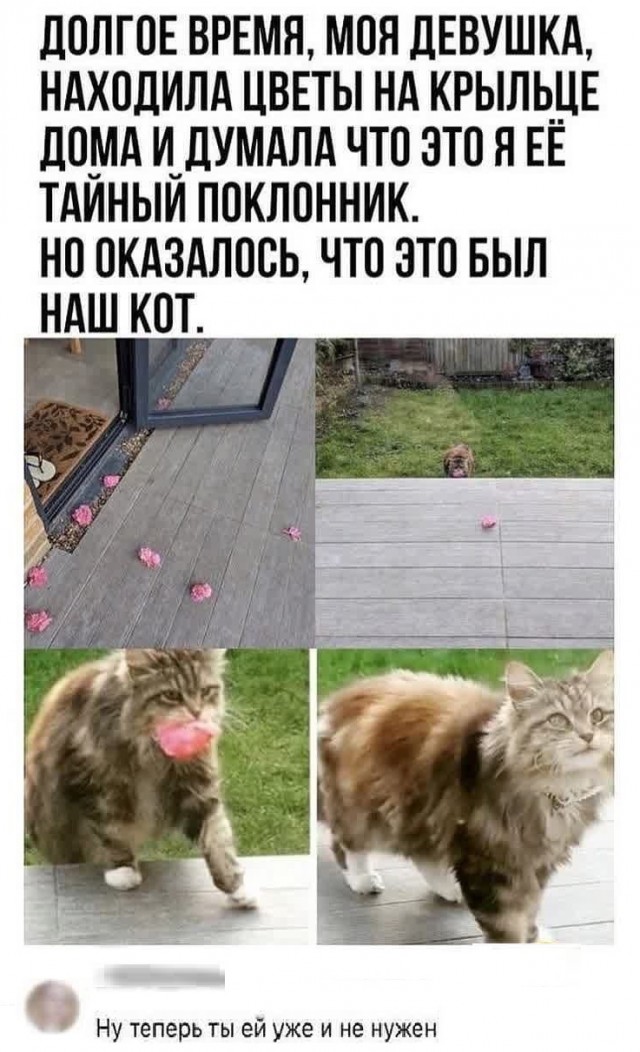 Картинки с надписями и всякие жизненные фразы