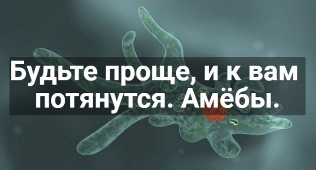 Отмена деградации. Околонаучные картинки