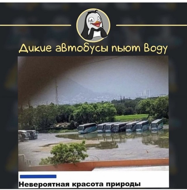 Пока есть сеть