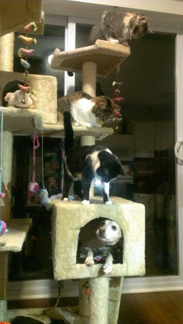 Картинки и мемы для настроения 27.09.2021