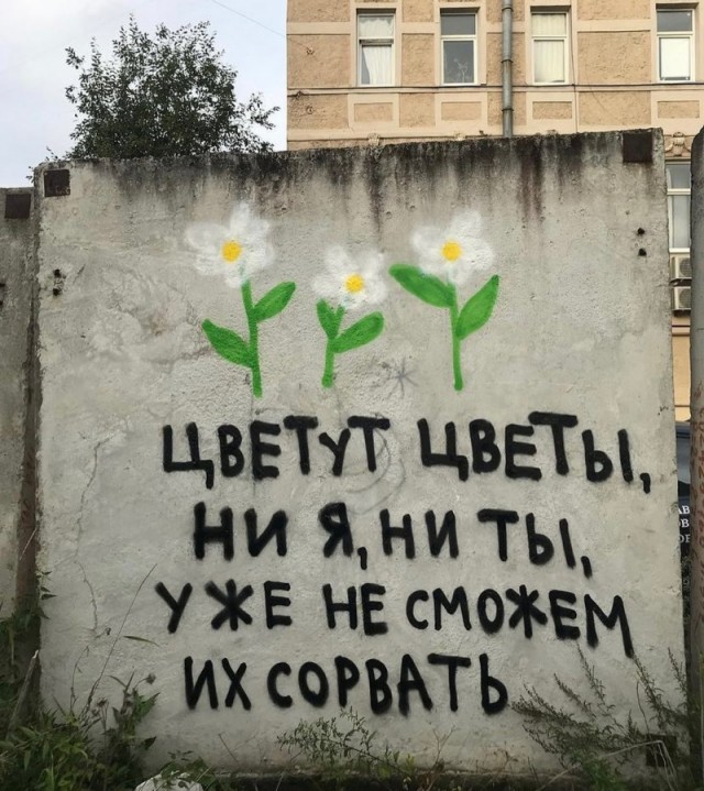 Всяческие картинки 10.11.2021