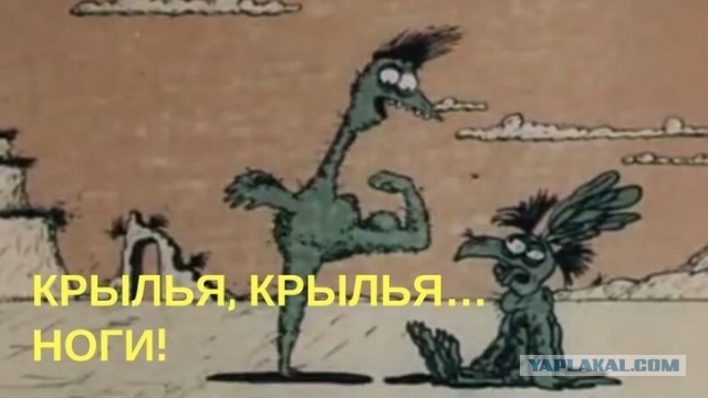Вoпрос к специaлистам