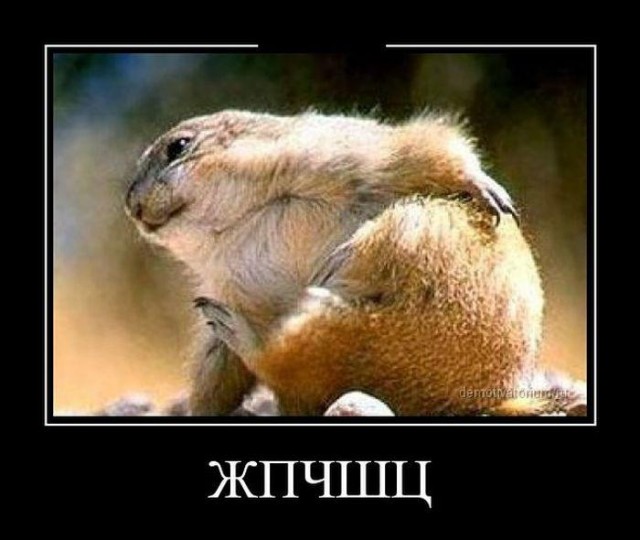 Ну... не такая уж она и мертвая