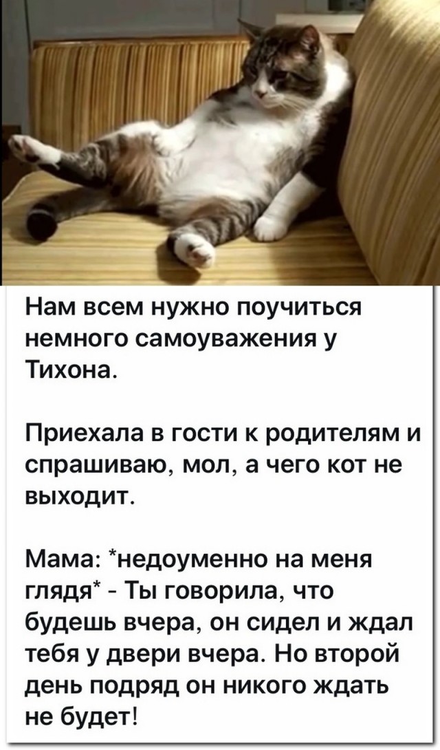 Картинки и мемы для настроения - 123