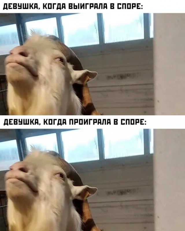 Картинки и мемы. Выходные близко...