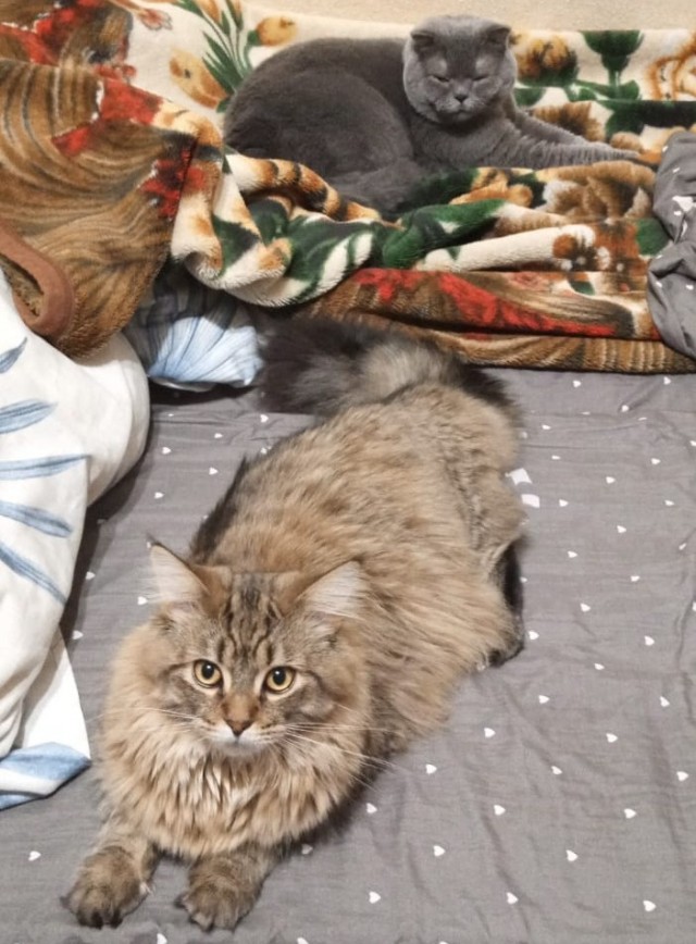 Совпало же? В котовторник