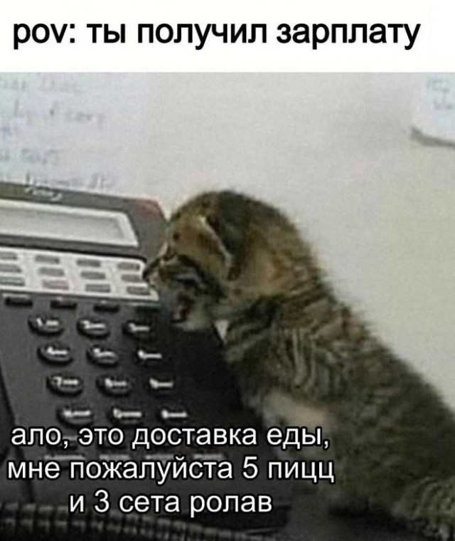 Картинок вам