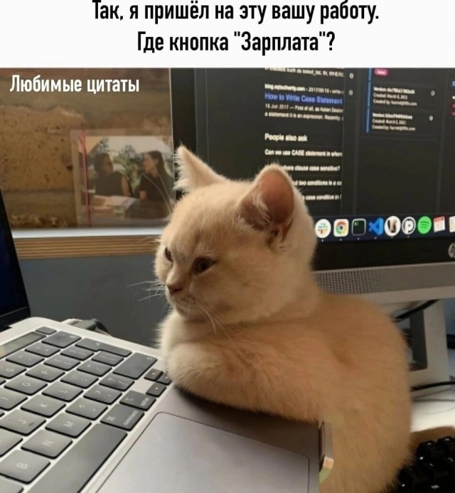 Картинки и мемы, это май-чародей всяко разно - 177