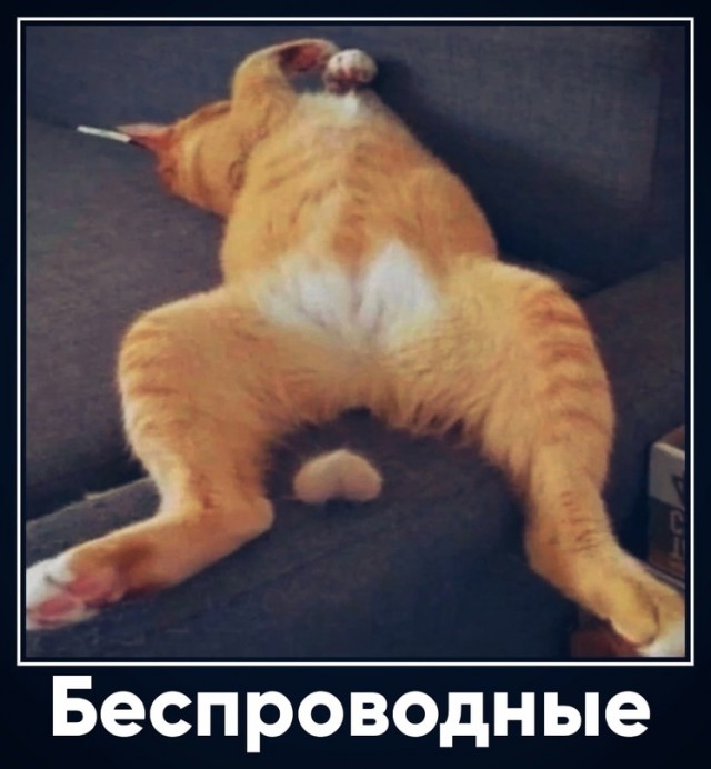 Картинки и мемы для настроения - 187