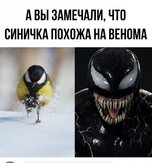 Гостья