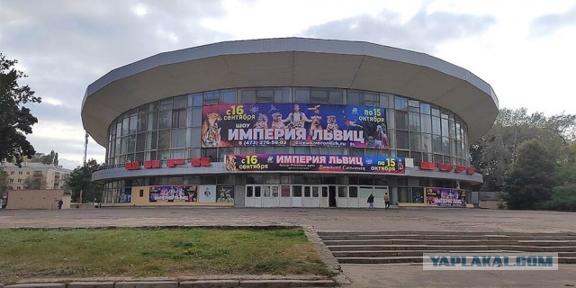 Интересные и редкие ретро-фотографии 13.11.23