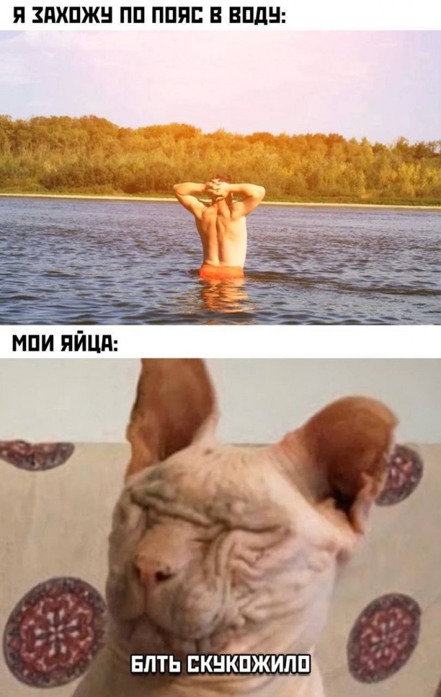 Ну штош, продолжим пОшло деградировать