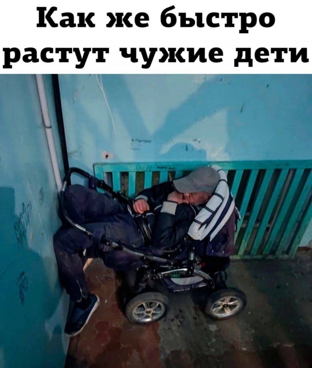 Картинок подвезли