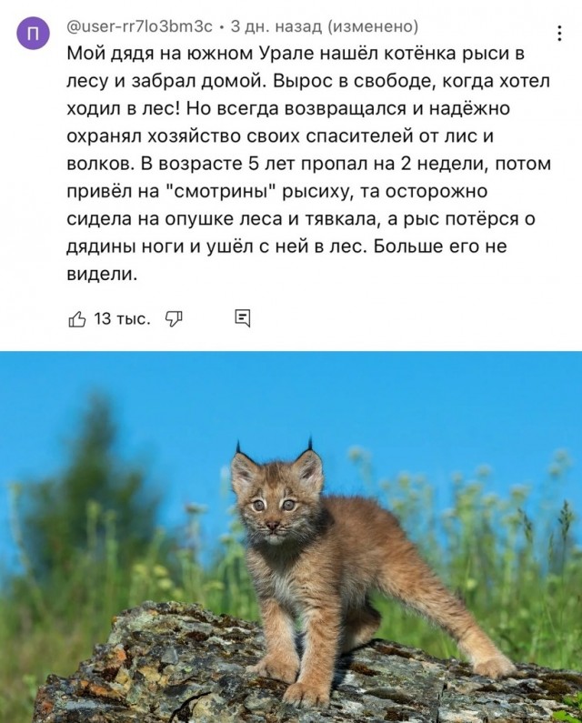 Так себе картинки  07.02.24