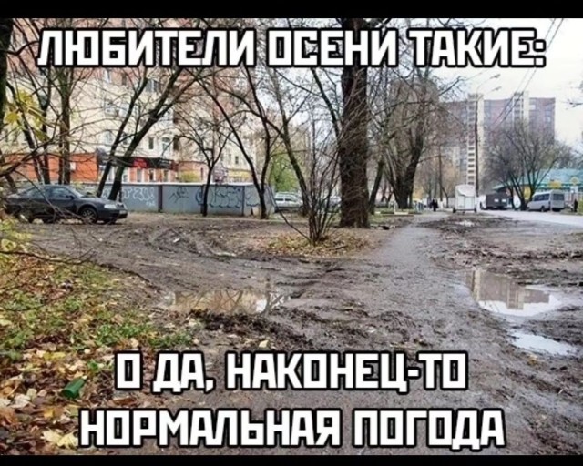 Завалялось тут случайно немного забавных картинок