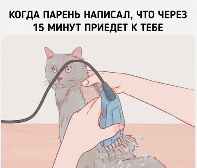 Так себе картинки 29.11.24