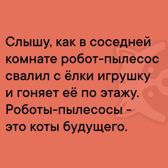 Так себе картинки 28.12.24