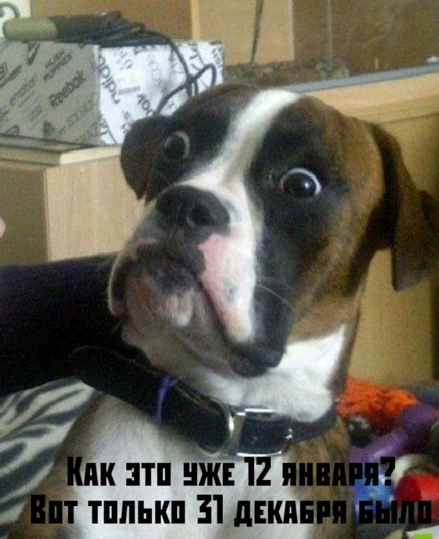 Так себе картинки 12.01.25