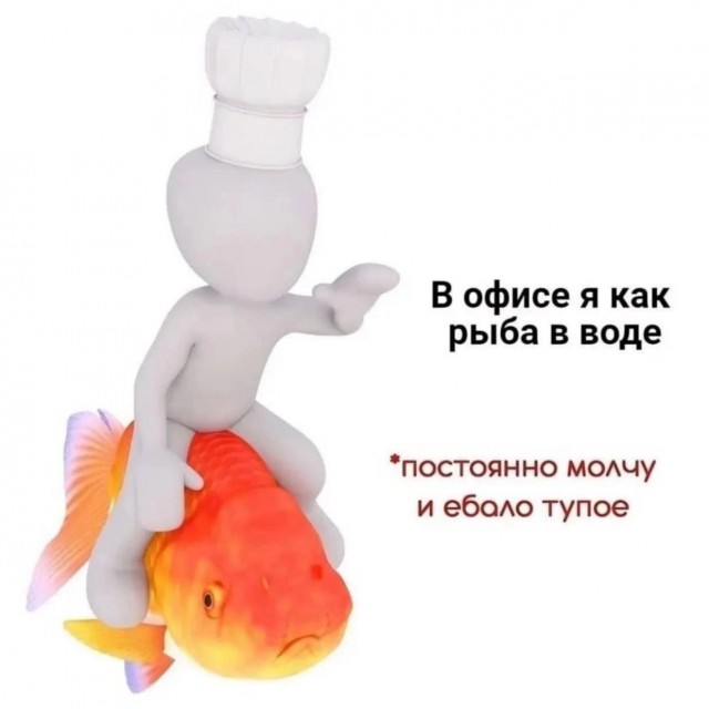 Весёлый полтишок 27.02.2025