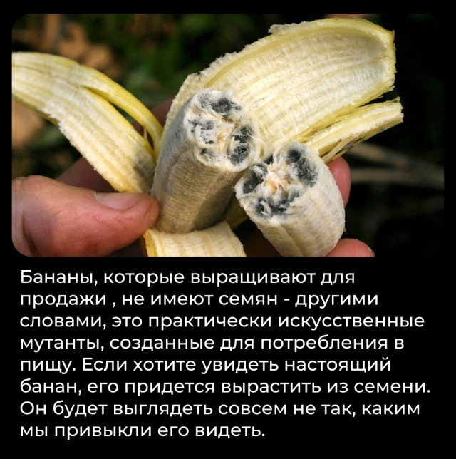 Всячина