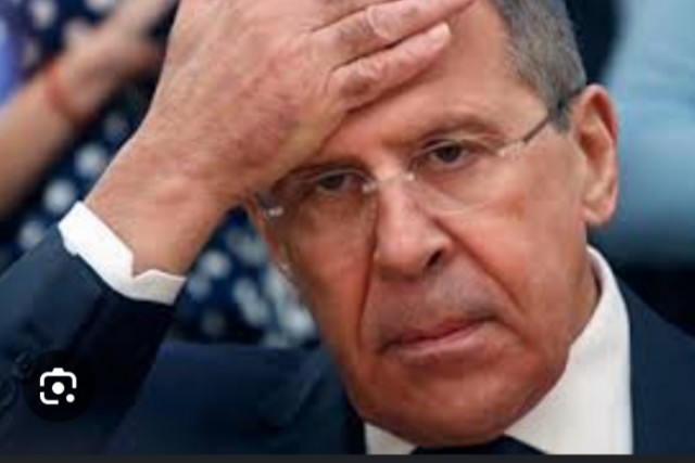 Собачьей сцепкой закончилась первая брачная ночь у питерских молодожёнов