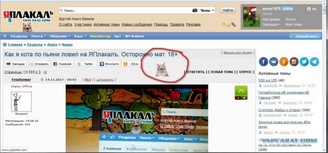 Игра в прятки