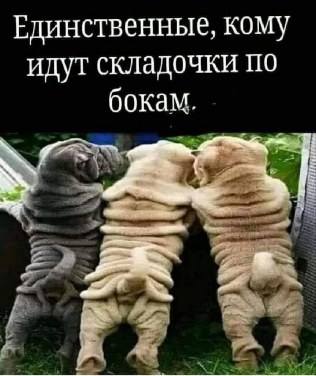 Так себе картинки 09.08.25