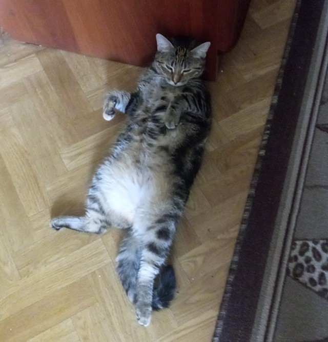 Масяня приехала