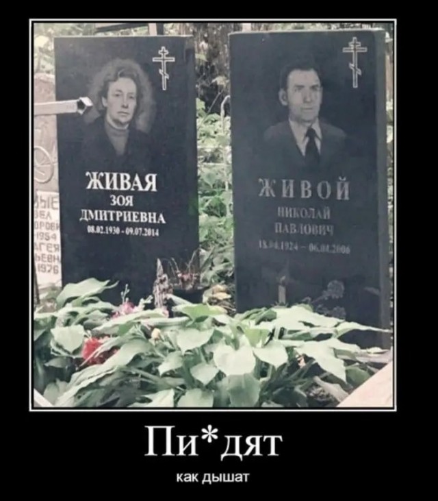 Картинки для деградации 33 (разной степени свежести)